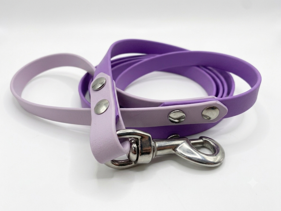 Laisses et accessoires