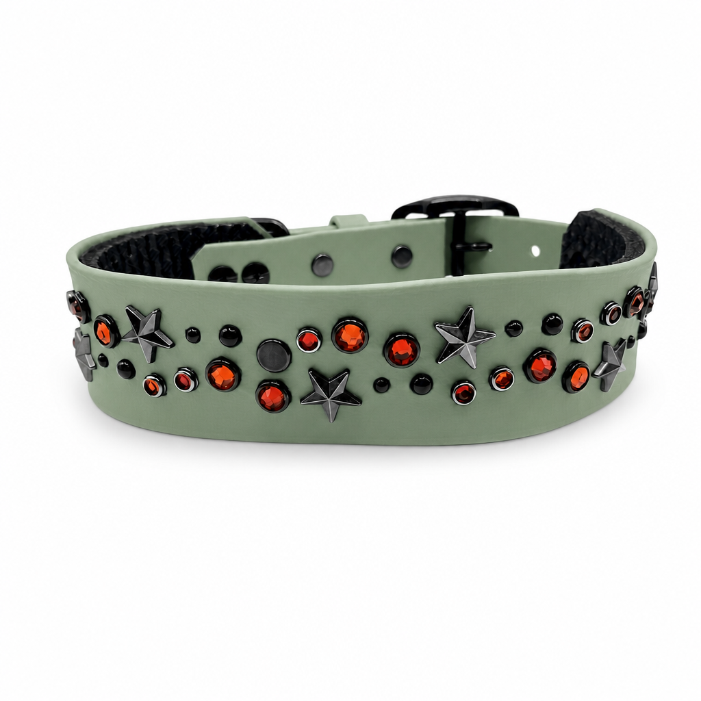 Collier Nova 1.5'' Écono