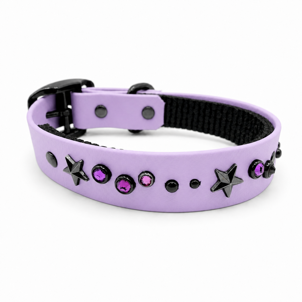 Collier Nova 1'' Écono
