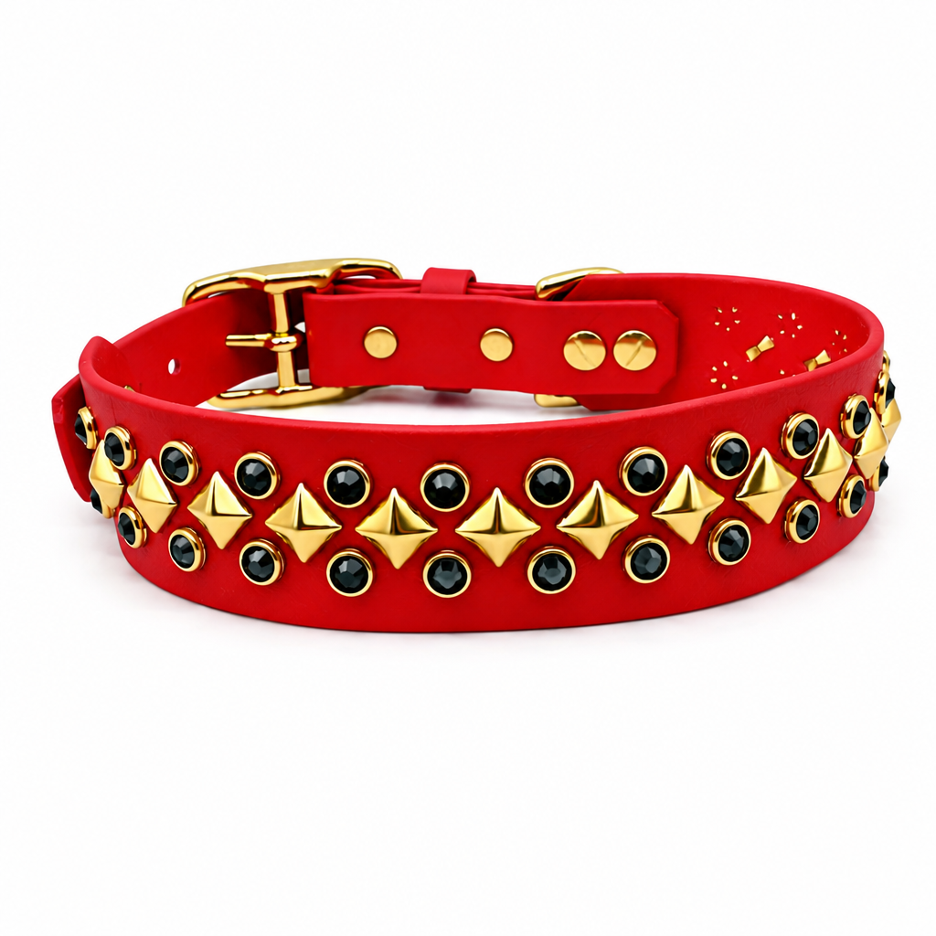 Collier Apex 1.5'' Écono