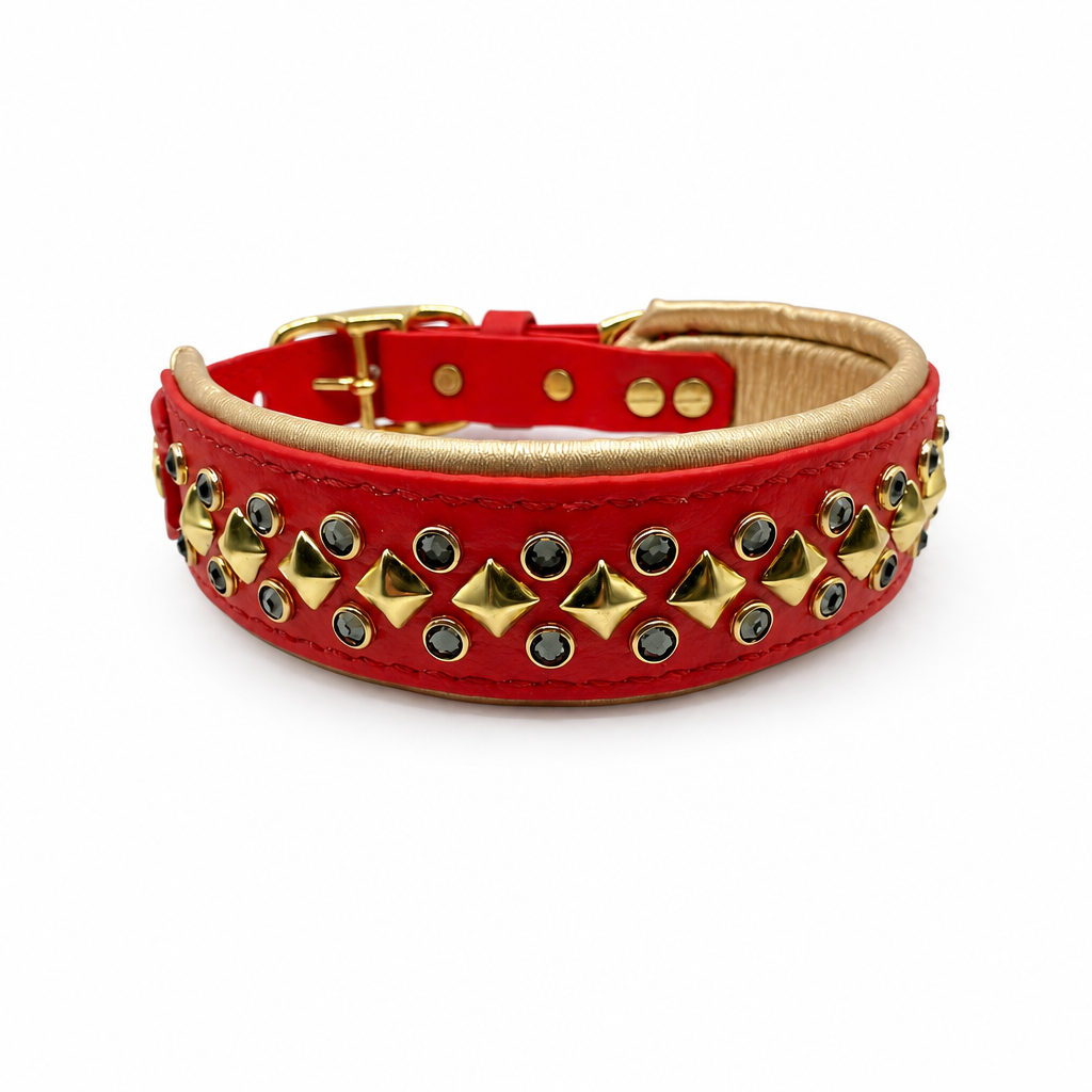 Collier Apex 1.5''