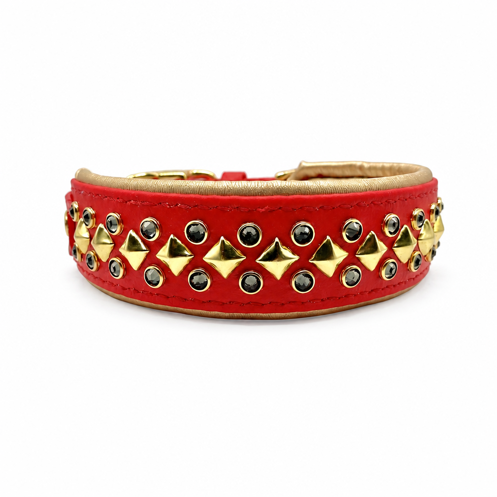 Collier Apex 1.5''