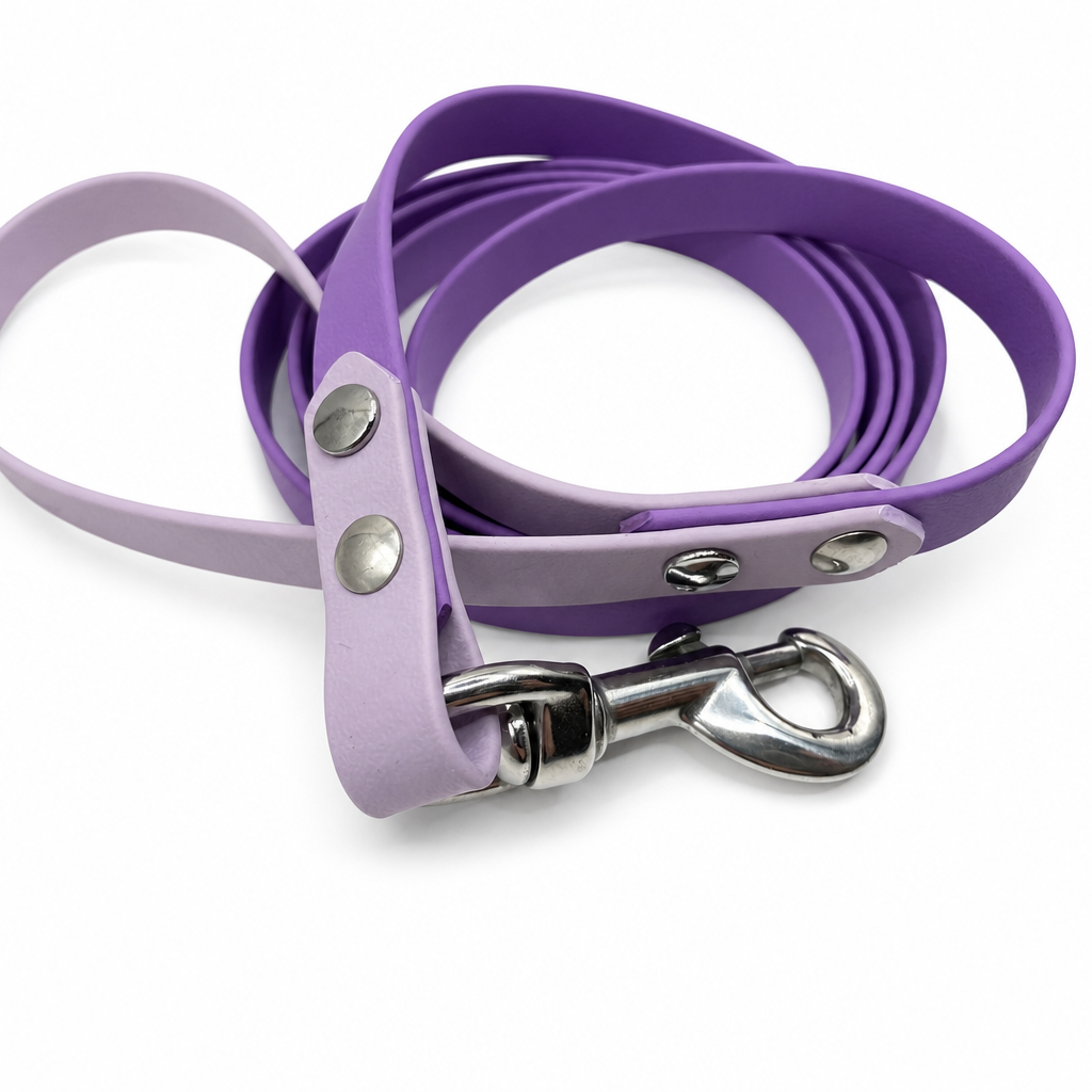 Laisse 2 tons 5/8''