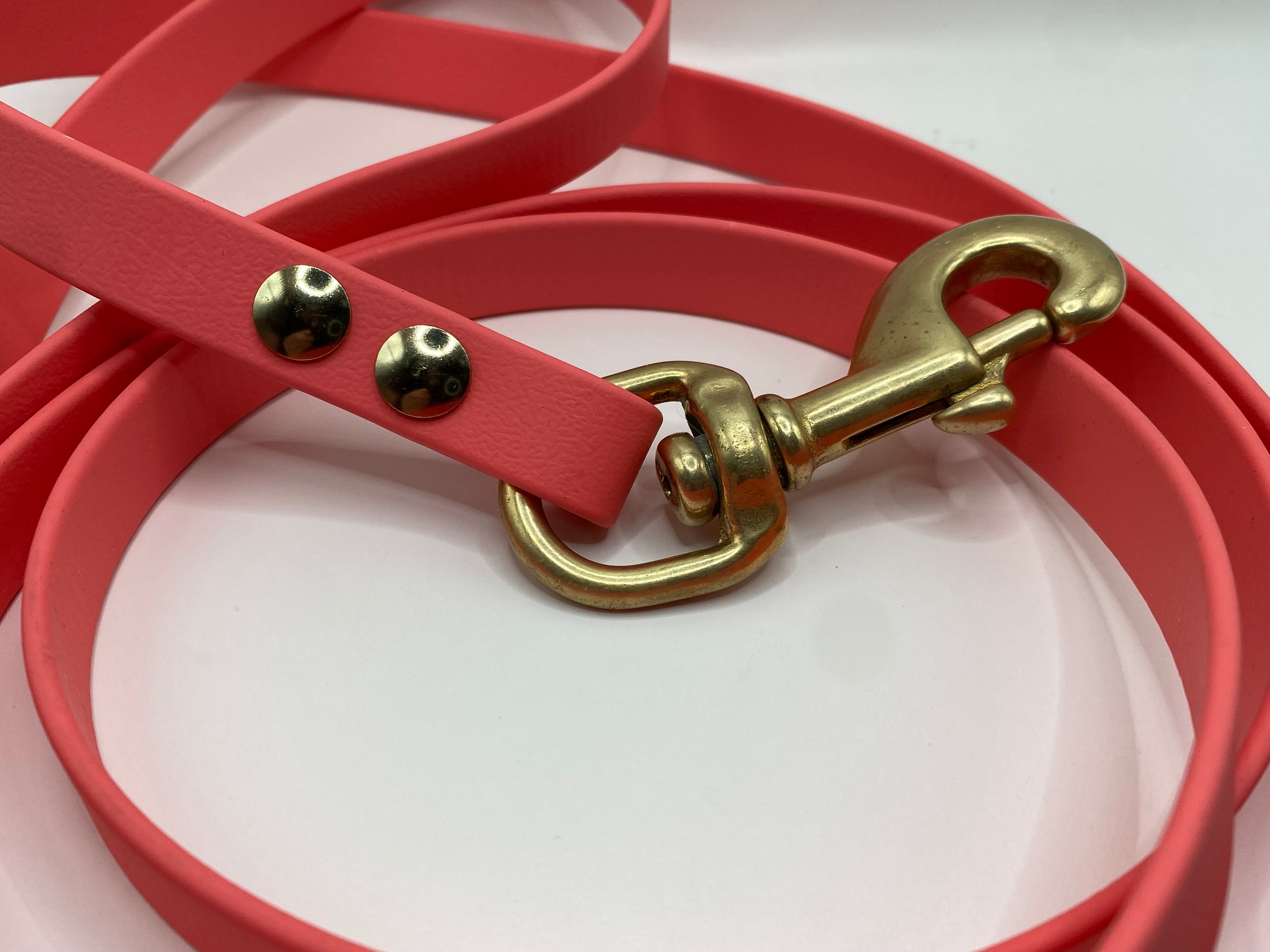 Laisse standard 5/8''